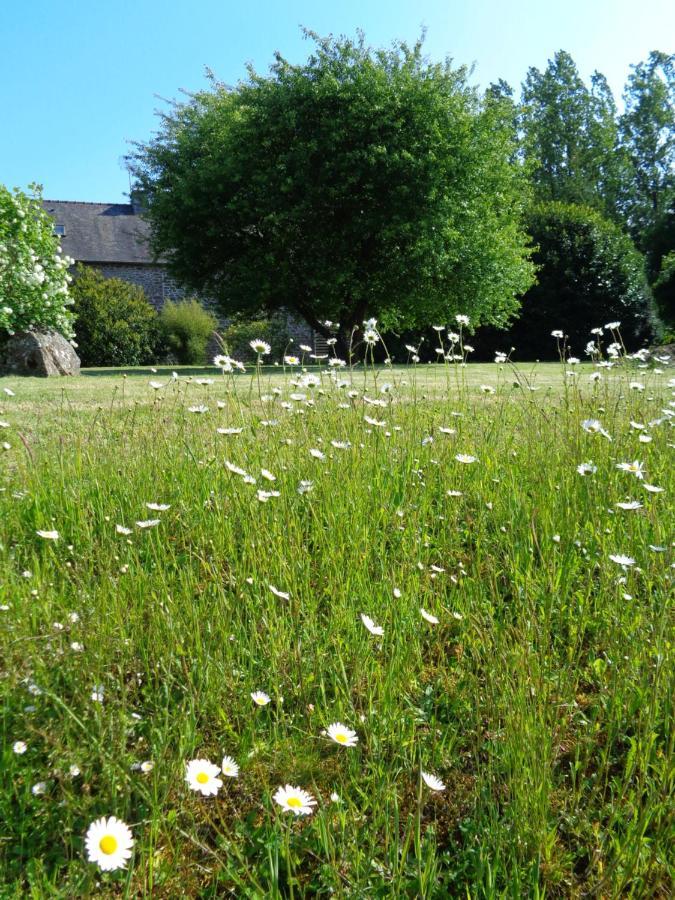 Ker Adsav O'Naturel Saint-Pierre-de-Plesguen エクステリア 写真