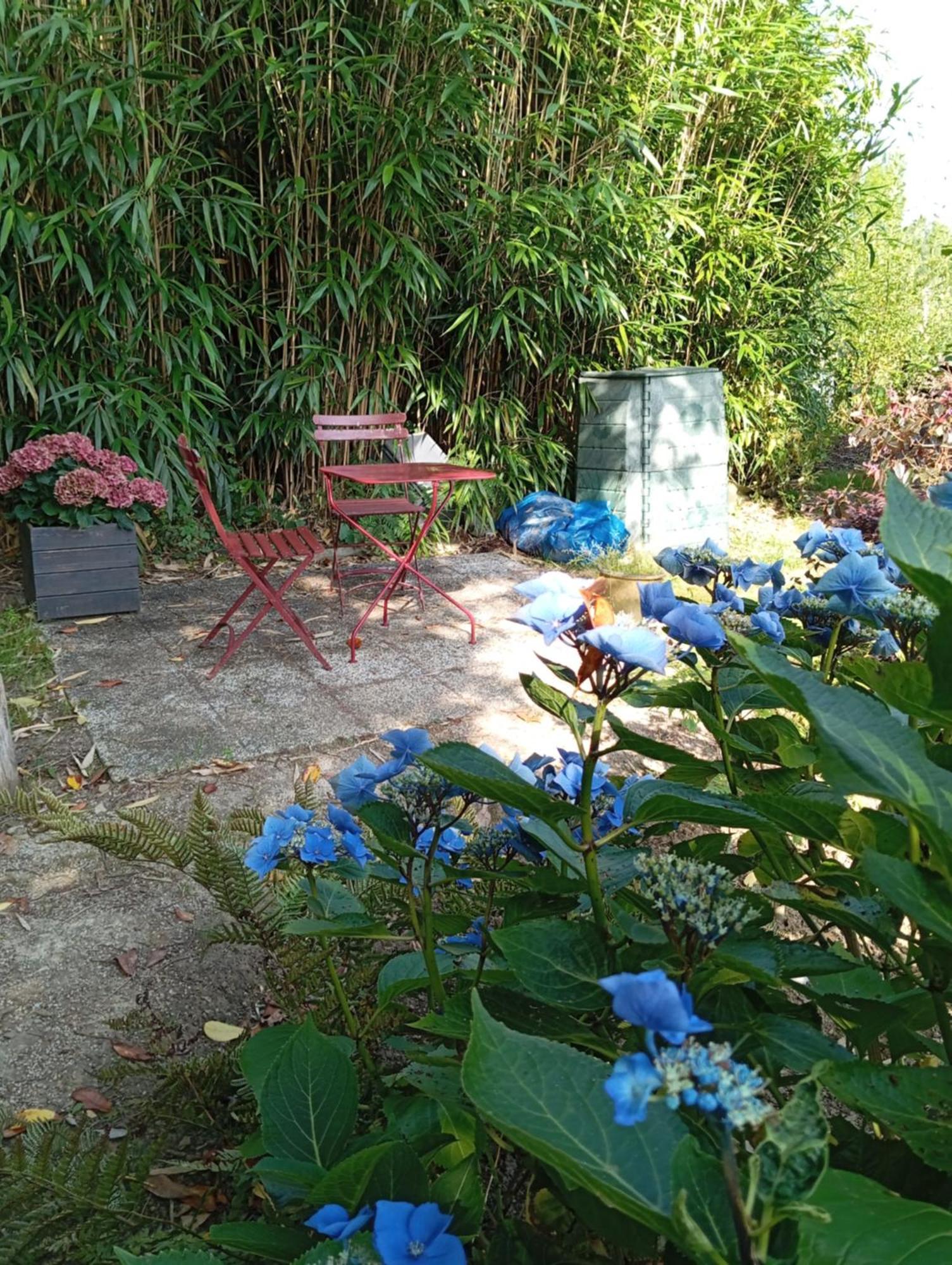 Ker Adsav O'Naturel Saint-Pierre-de-Plesguen エクステリア 写真
